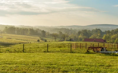 Conserve Dawson County’s green space with North Georgia Land Trust